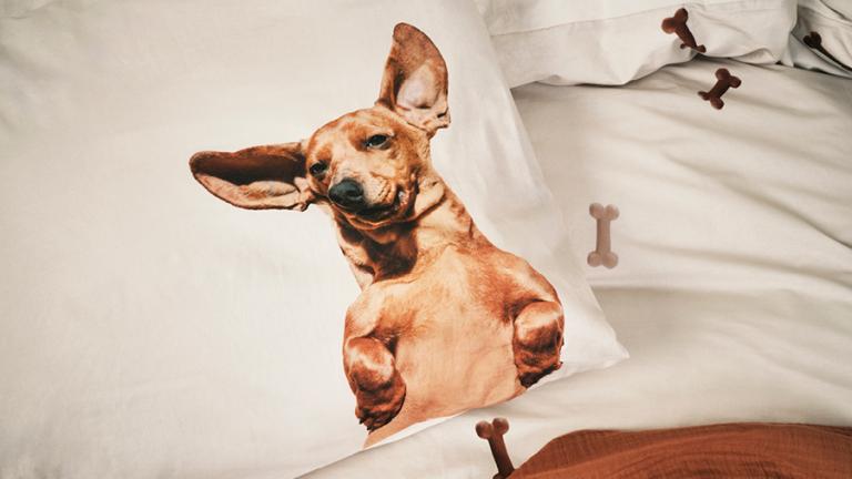 Dekbedovertrek Dachshund SNURK print